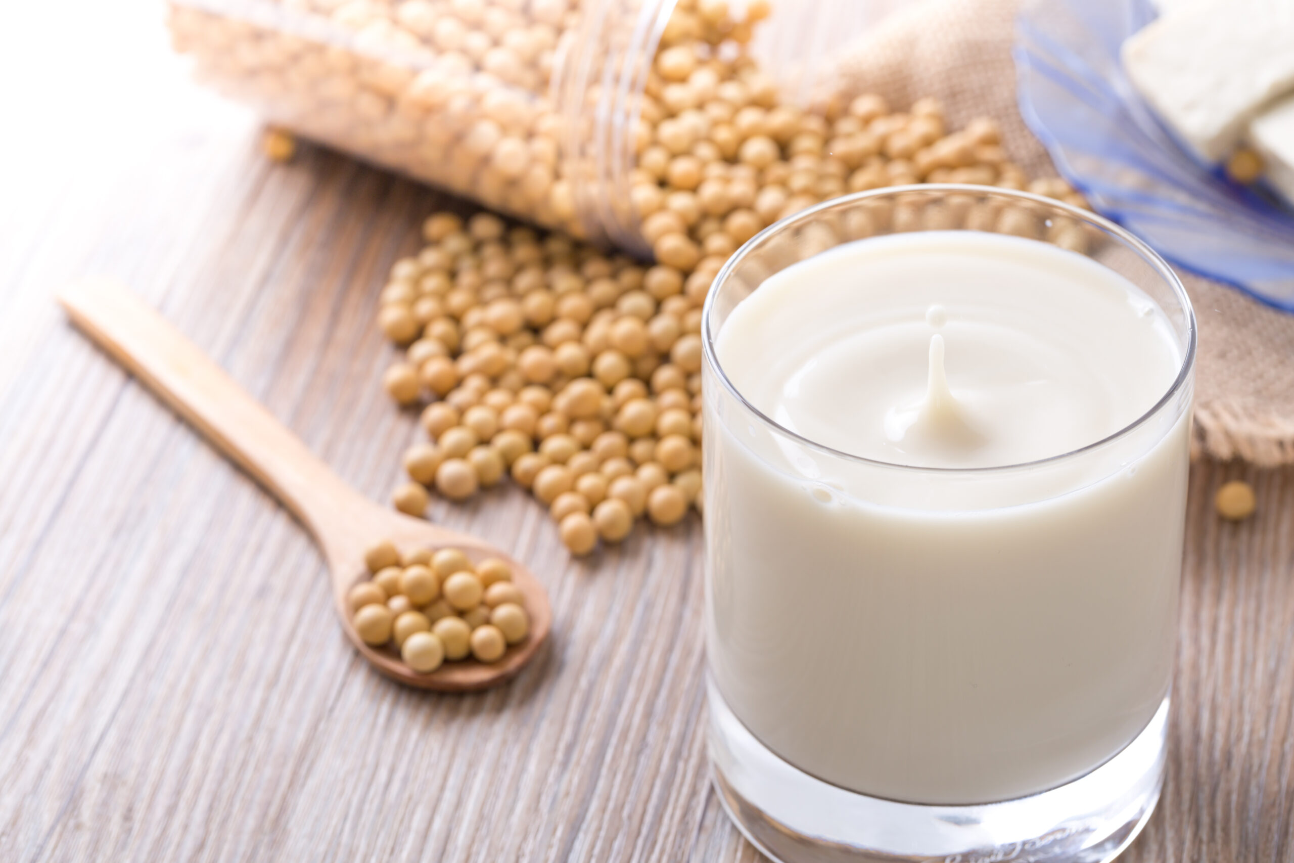 2. 濃厚豆腐通販の魅力とは