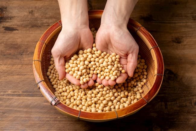 4 食べ比べで見極めたい豆腐の品質ポイント